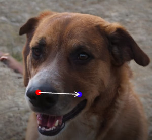 script and text-to-video ideation